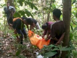 Pria 64 Tahun Ditemukan Meninggal di Kebun Cengkeh di Kabupaten Sikka