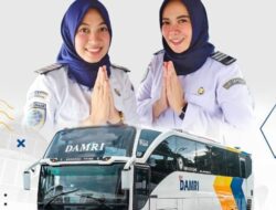 Cara Melamar Lowongan Kerja di Perum DAMRI 2024: Batas Akhir 15 Oktober