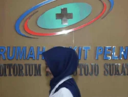 Lowongan Kerja PT PELNI (Persero) Jadi  Kesempatan Anda Bergabung di Perusahaan BUMN