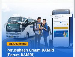 Terbaru Lowongan Kerja BUMN di Perum DAMRI Buka 2 Posisi Strategis