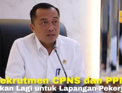 Luar Biasa! Jadwal Seleksi PPPK 2025 Dibuka untuk Umum, Bukan Hanya Honorer