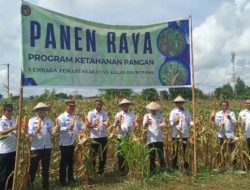 Lapas Kelas IIA Kupang Gelar Panen Raya, Maliki: Ini Bukti Pembinaan yang Produktif