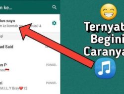 Cara Buat Status WhatsApp di Semua HP Android Pakai Musik