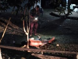 Kronologi SSA Tewas Usai Konsumsi Miras dan Serang Keluarga Sendiri di TTU