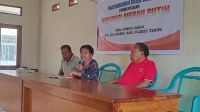 Dinas Koperasi dan UMKM Flotim Gandeng Pendamping Desa Percepat Pembentukan Koperasi Merah Putih