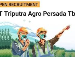PT Triputra Agro Persada Buka Lowongan Kerja Tahun 2026