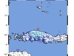 Flores Kembali Berguncang! Gempa M4,2 Guncang Manggarai, BMKG: Tidak Berpotensi Tsunami